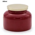 Afast Premium Designed 800 ml Pickle Jar Pack of 1