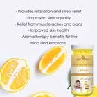 Bon Austin Lemon & Rose Detoxifying Bath Salt Crystal 