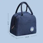 Insulated Tiffin & Lunch Bag, Pink & Blue Combo Set of 2