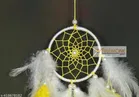 Feather Wall Hanging Dream Catcher 