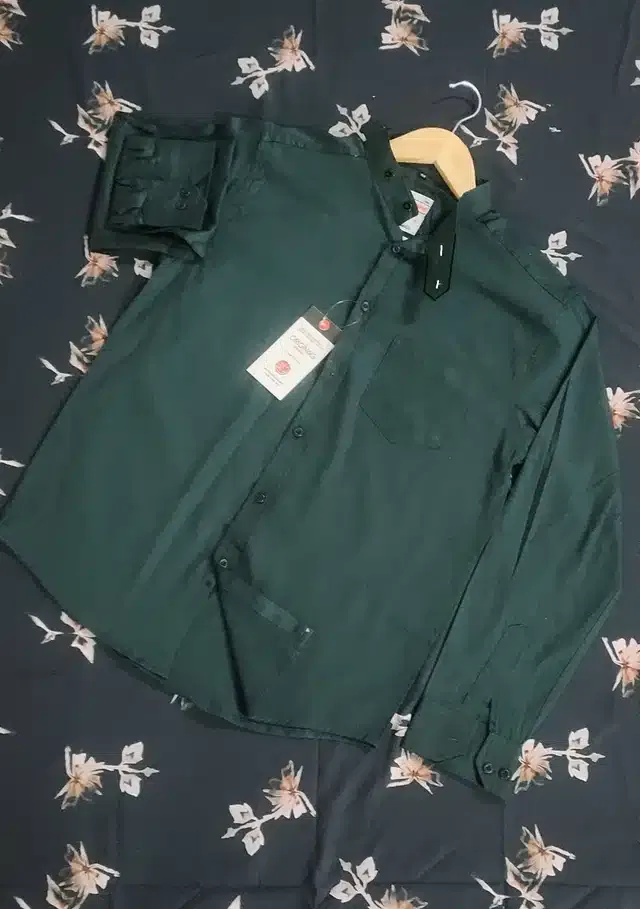 Casual Shirt for Men (Green, L)