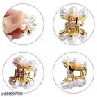 Fancy Hair Clips for Women 