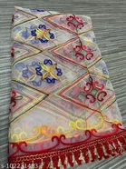 Embroidered Rajasthani Net 