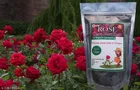 OEHB Rose Care Fertilizer 