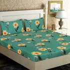 Glace Cotton Printed Fitted Double Bedsheet with Two Pillow Covers 