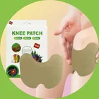 Knee Pain Relief 10 Pcs Heating Patch (Pack of 1)