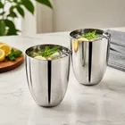 टेराहोम स्टील एप्पल ग्लास, 300 ml, 2 का पैक