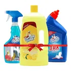Captain Shine Floor Cleaner 1 L (Citrus) + Captain Shine Toilet Cleaner 500 ml + Captain Shine Glass Cleaner 500 ml