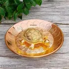 Tortoise with Plate 