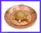 Tortoise with Plate 