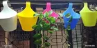 Plastic Hanging Planters 