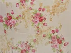 Chiffon Printed Saree for Women 