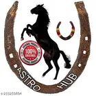 Iron Horse Shoe Showpiece 