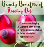 Park Daniel Rosehip Oil & Sesame Oil 