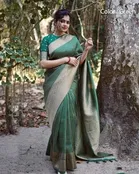 Litchi Silk Stripe Saree for Women, Green 