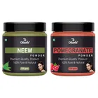 Natural Neem & Pomegranate Powder for Skin & Hair 