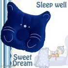 Baby Mosquito Net with 2 Pcs Baby Pillow 