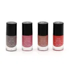Nail Paint Gel/Glossy Finish Multipack Form Festive Edition 