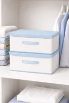 Craft Bazar Multipurpose Foldable Fabric Big Storage Box Set of 2 with Lid and Handle for Clothes, Toys, Wardrobe, Shelf, Bedroom and Home Organization