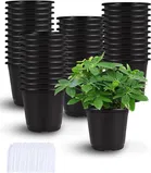 Plastic Plant Container 