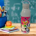 Stainless Steel Printed Water Bottle (Multicolor, 800 ml)