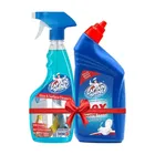 Captain Shine Disinfectant Toilet Cleaner 500 ml + Captain Shine Disinfectant Glass Cleaner 500 ml