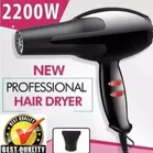 NV-6130 Professional 2 Speed and 2 Heat Setting Hair Dryer for Silki Shine Hair (Assorted, 100 W)