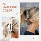 Plastic Hair Clutcher for Women 