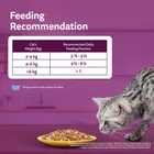 Whiskas Adult Chicken Cat Food 7x80g