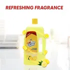 Captain Shine Disinfectant Floor Cleaner 1 L 