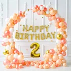 Pastel Theme 2nd Birthday Balloon Decoration Kit , Multicolor, Pack Of 64