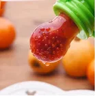 Nibbler Soother for Babies Fruit Feeder Kids Nipple Pacifier for Fruit Vegetable and Fruit Shape Silicone Teether 