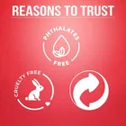 Shryoan Authentic Rose Liquid Sindoor 