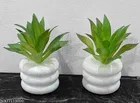 Plastic Artificial Flower With Pot,Multicolour,Set Of 2
