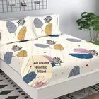 Cotton Floral King Size Bedsheet with 2 Pillow Covers 