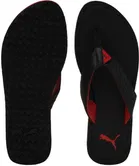 Flipflops for Men 