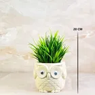 Akaar Artificial Fern Plant in Beige Owl Pot - 