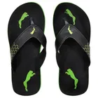 Casual Flipflops & Slippers for Men 