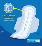 स्टेफ्री सिक्योर ड्राई कवर 