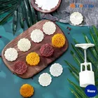 Plastics Moon Cake Moulds With 5 Press Stamps, Multicolour, Set of 1