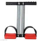 Double Spring Tummy Trimmer with Twister 