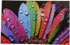 PVC Printed Dining Table Placemats 
