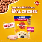 Pedigree Chicken and Liver Chunks in Gravy Adult Dog Wet Food 