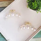 ABS Plastic Hair Clutcher for Women 