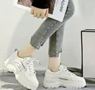 Casual Shoes for Women 