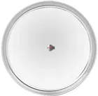 MS WORLD 13 Inch Steel Rajbhog Plate 