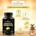 Fij Ayurveda 60 Pcs Fat Burner Capsule