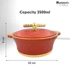 Stainless Steel Casseroles, Red 