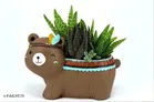 Terracotta Tribal Bear Decorative Pot for Home Decor 