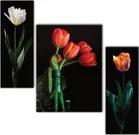 MDF 3 Pcs Designer Wall Painting for Home & Office 